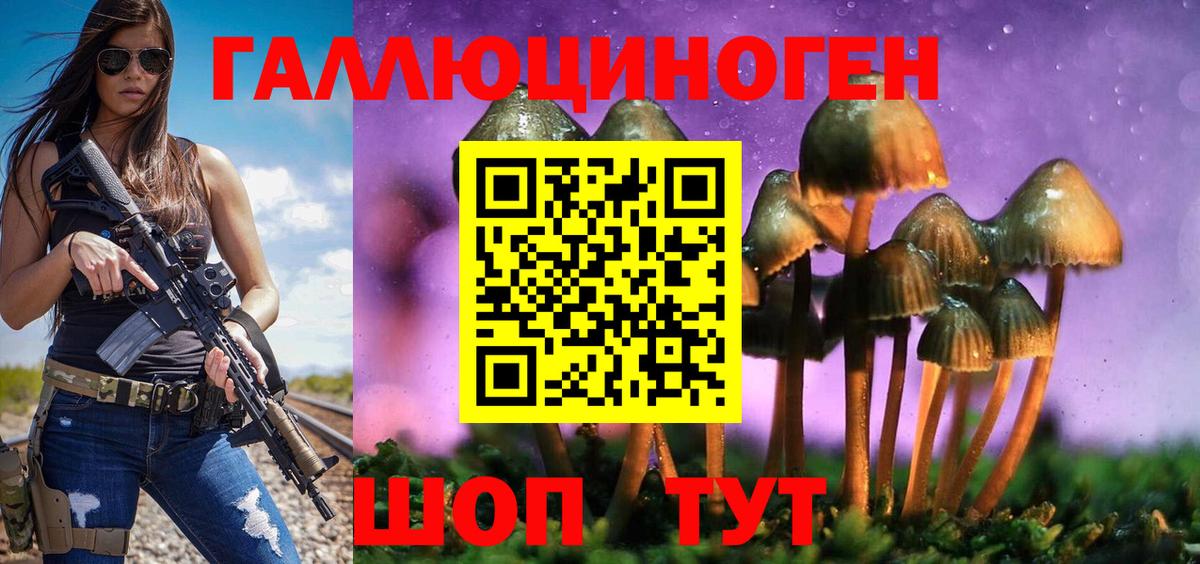 Псилоцибиновые грибы Psilocybine cubensis  дарнет шоп  Краснокаменск  Вход с VPN 